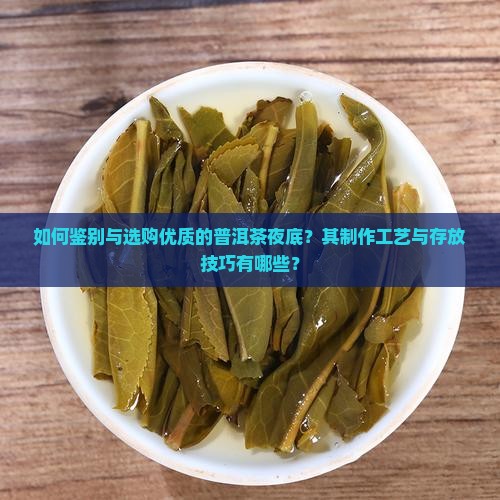 如何鉴别与选购优质的普洱茶夜底？其制作工艺与存放技巧有哪些？