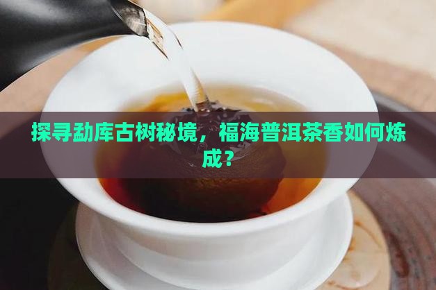 探寻勐库古树秘境，福海普洱茶香如何炼成？