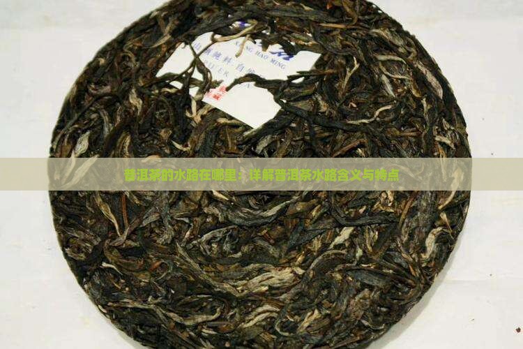 普洱茶的水路在哪里：详解普洱茶水路含义与特点