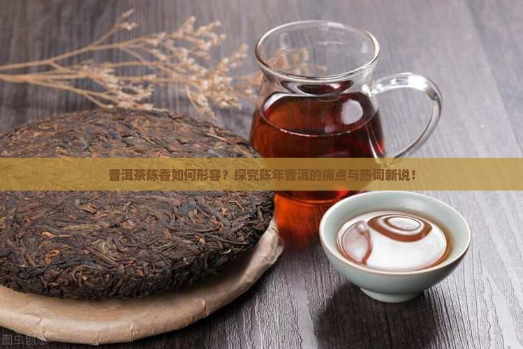 普洱茶陈香如何形容？探究陈年普洱的痛点与热词新说！