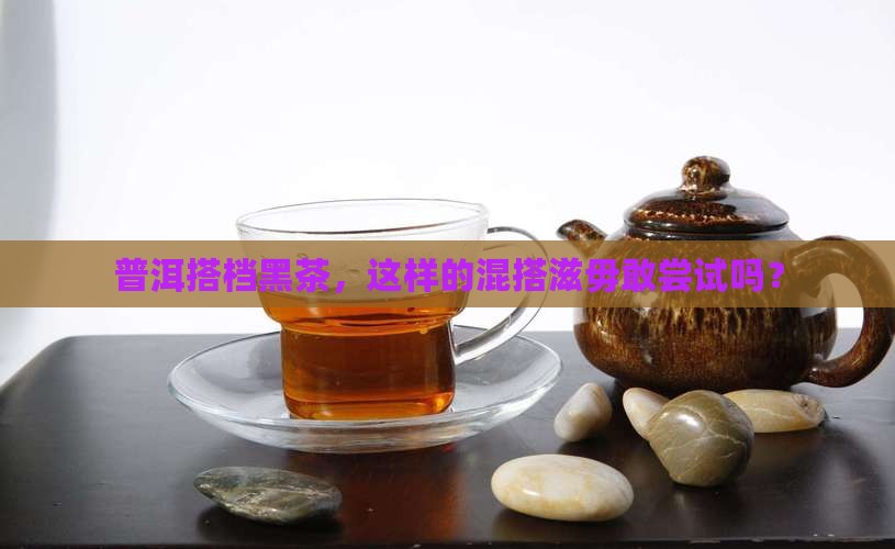 普洱搭档黑茶，这样的混搭滋毋敢尝试吗？