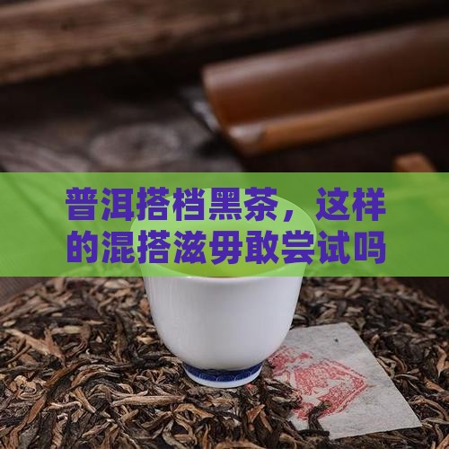 普洱搭档黑茶，这样的混搭滋毋敢尝试吗？