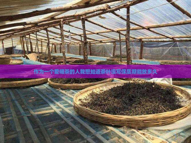 作为一个爱喝茶的人我想知道茶叶没写保质期能放多久