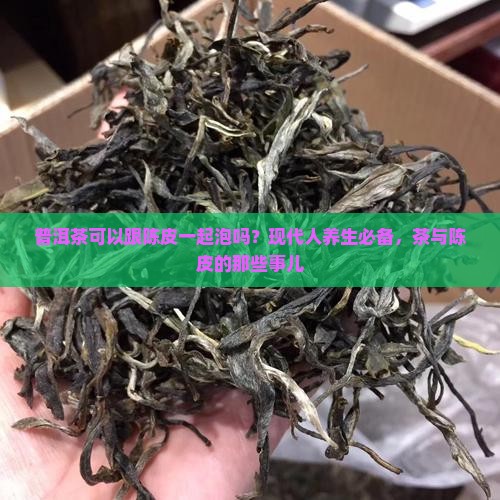 普洱茶可以跟陈皮一起泡吗？现代人养生必备，茶与陈皮的那些事儿