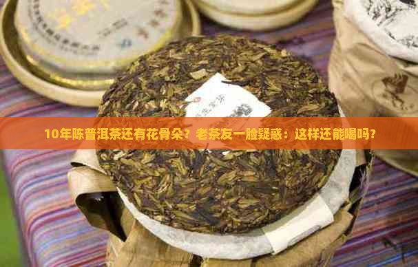 10年陈普洱茶还有花骨朵？老茶友一脸疑惑：这样还能喝吗？