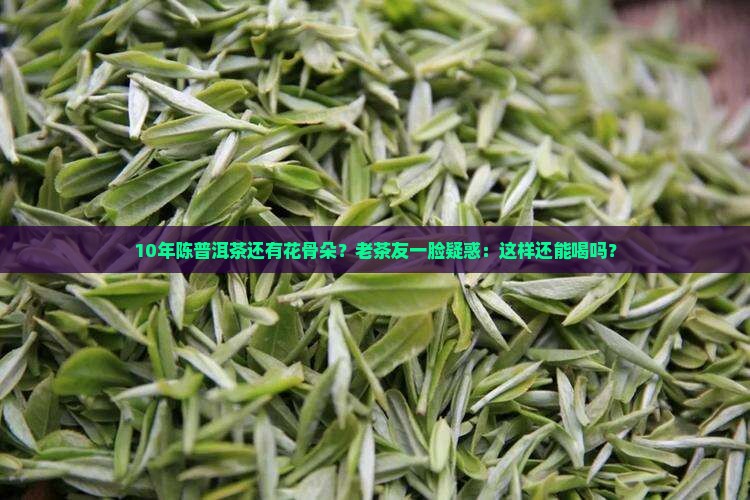 10年陈普洱茶还有花骨朵？老茶友一脸疑惑：这样还能喝吗？
