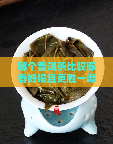 哪个普洱茶比较陈香好喝且更胜一筹