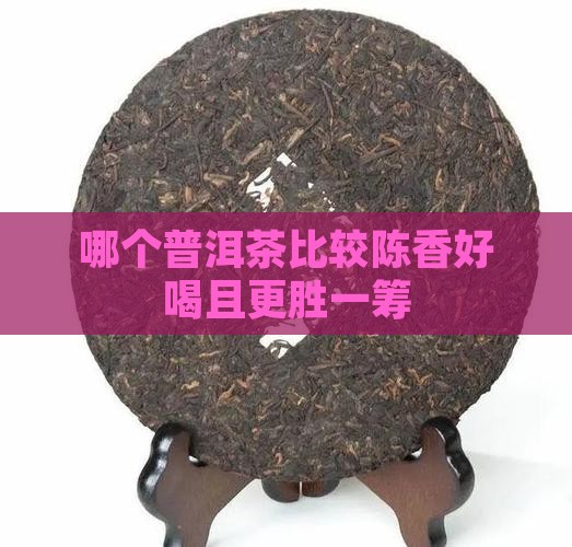 哪个普洱茶比较陈香好喝且更胜一筹