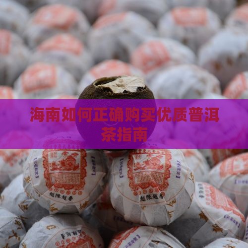 海南如何正确购买优质普洱茶指南