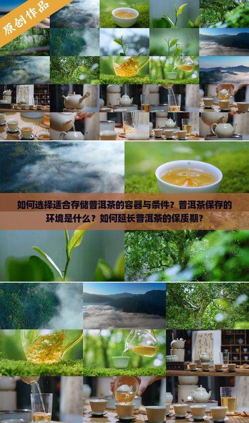 如何选择适合存储普洱茶的容器与条件？普洱茶保存的环境是什么？如何延长普洱茶的保质期？