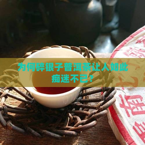 为何碎银子普洱茶让人如此痴迷不已？