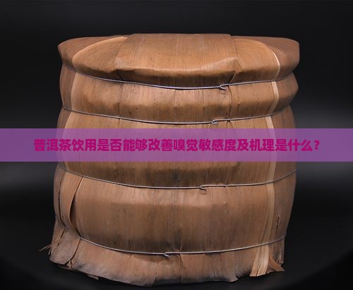 普洱茶饮用是否能够改善嗅觉敏感度及机理是什么？
