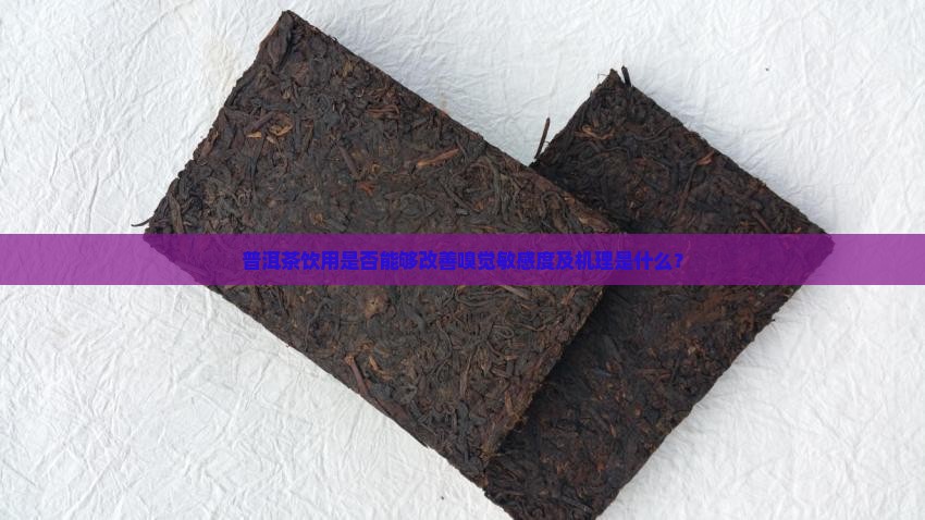 普洱茶饮用是否能够改善嗅觉敏感度及机理是什么？