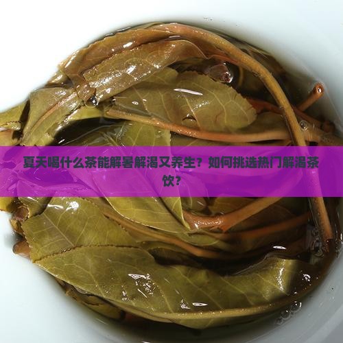夏天喝什么茶能解暑解渴又养生？如何挑选热门解渴茶饮？