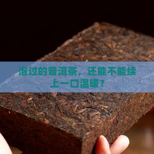 泡过的普洱茶，还能不能续上一口温暖？