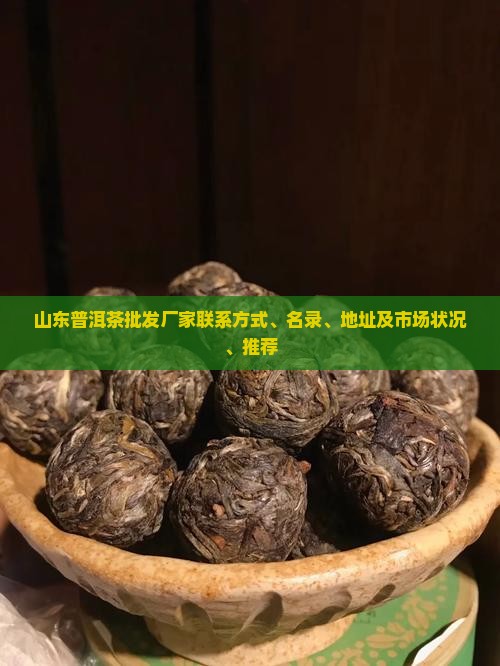 山东普洱茶批发厂家联系方式、名录、地址及市场状况、推荐