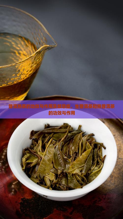 普洱熟茶的功效与作用及禁忌症，生普洱茶和熟普洱茶的功效与作用