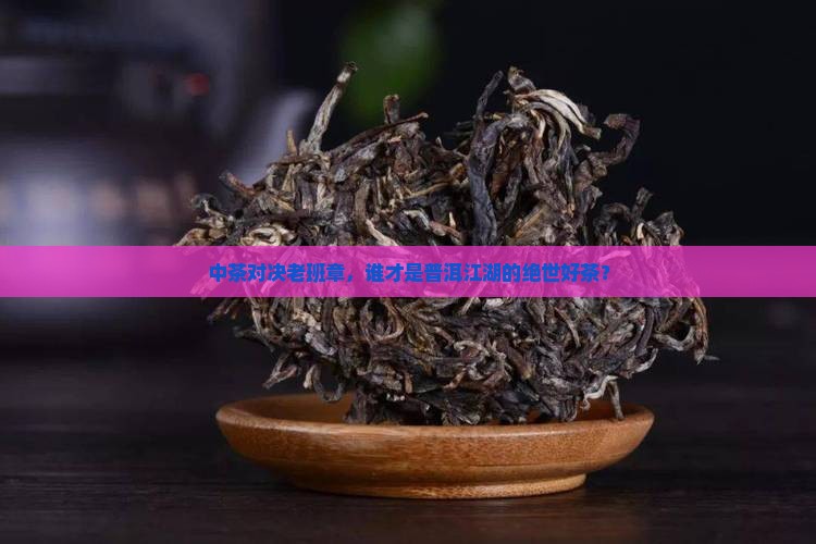 中茶对决老班章，谁才是普洱江湖的绝世好茶？