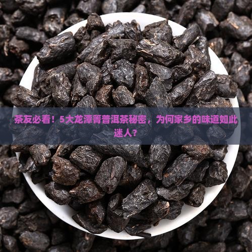 茶友必看！5大龙潭箐普洱茶秘密，为何家乡的味道如此迷人？