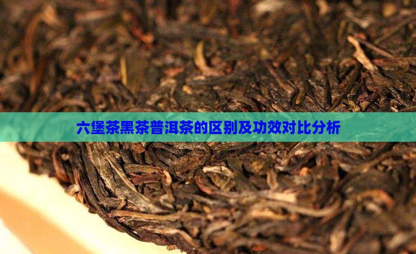 六堡茶黑茶普洱茶的区别及功效对比分析