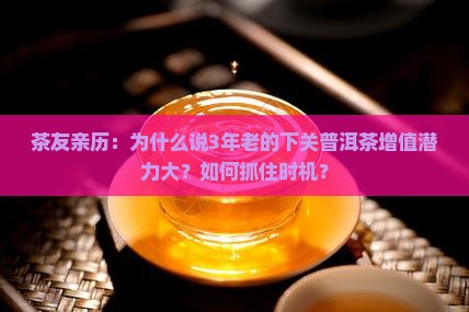 茶友亲历：为什么说3年老的下关普洱茶增值潜力大？如何抓住时机？