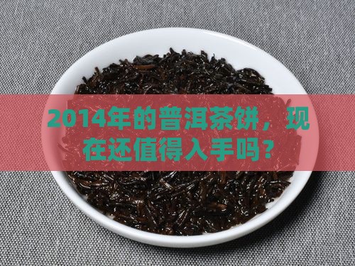 2014年的普洱茶饼，现在还值得入手吗？