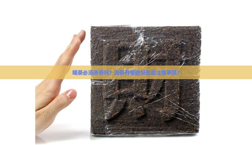 喝茶必须洗茶吗？洗茶有哪些好处和注意事项？