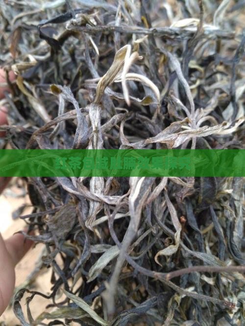 红茶包减肚腩效果探究