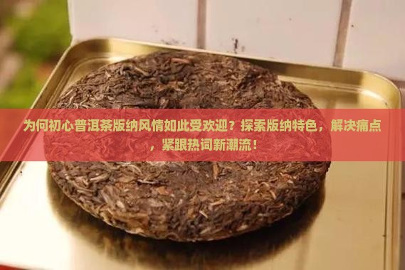 为何初心普洱茶版纳风情如此受欢迎？探索版纳特色，解决痛点，紧跟热词新潮流！