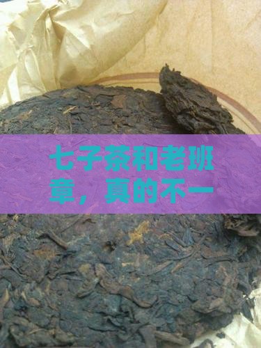 七子茶和老班章，真的不一样吗？