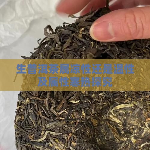 生普洱茶属凉性还是温性及属性寒热探究