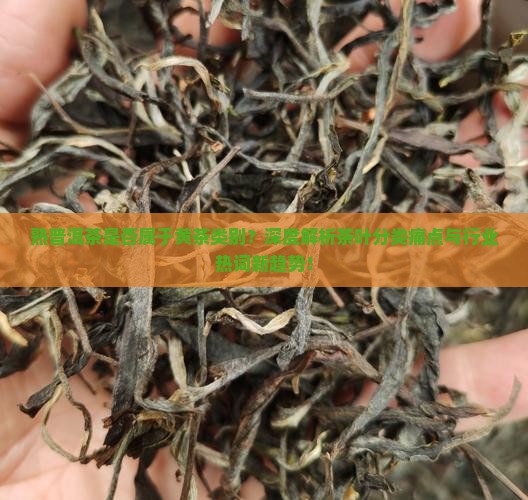 熟普洱茶是否属于黄茶类别？深度解析茶叶分类痛点与行业热词新趋势！
