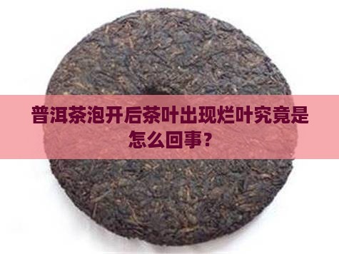 普洱茶泡开后茶叶出现烂叶究竟是怎么回事？