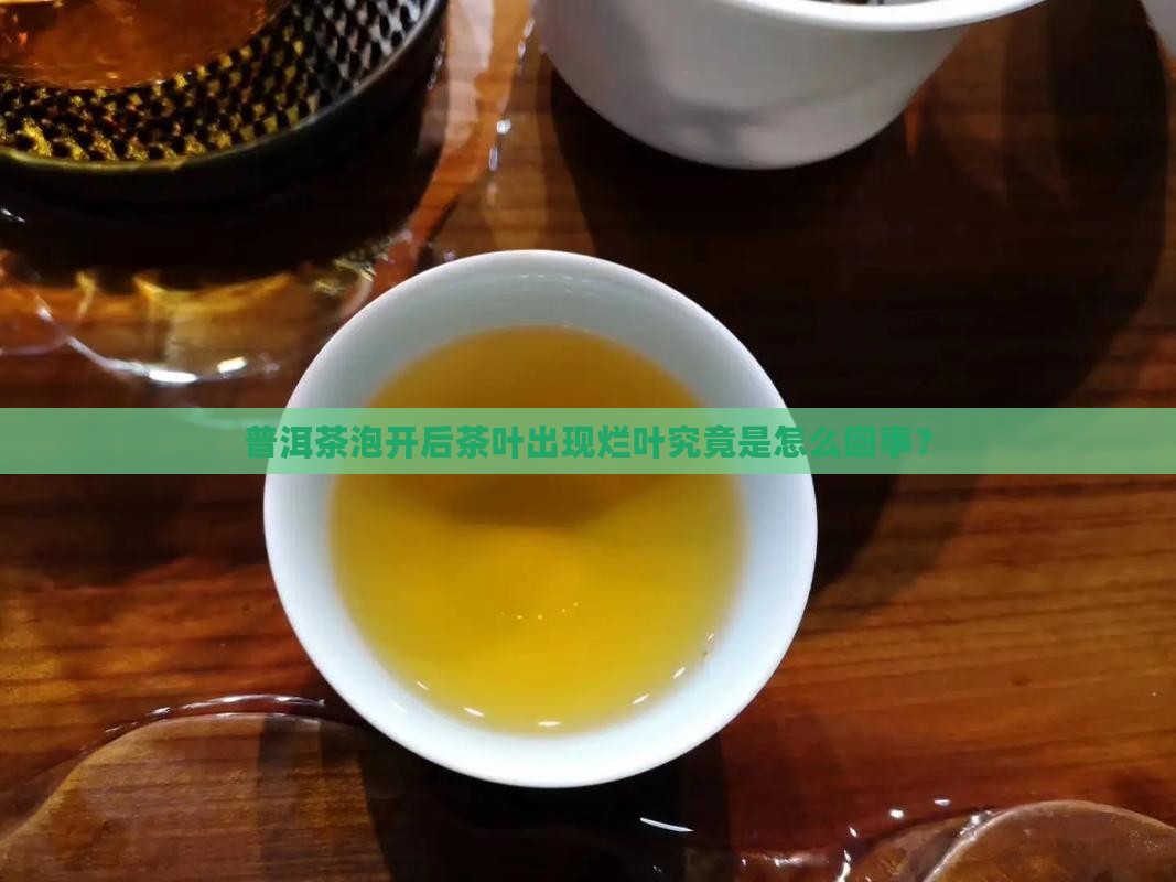 普洱茶泡开后茶叶出现烂叶究竟是怎么回事？