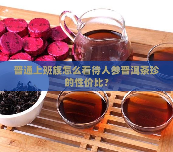 普通上班族怎么看待人参普洱茶珍的性价比？