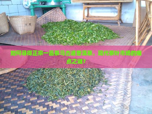 如何寻得正宗一品茶马古道普洱茶，现代茶叶市场的痛点之谜？