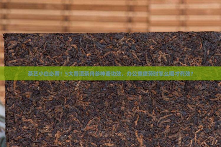 茶艺小白必看！5大普洱茶舟参神奇功效，办公室疲劳时怎么喝才有效？