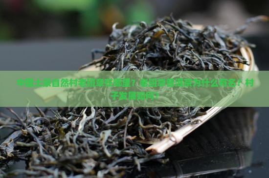 中国土豪自然村老班章在哪里？老班章普洱茶为什么有名？村子发展如何？