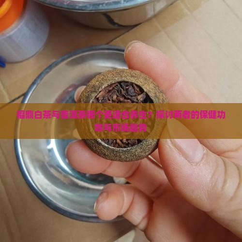福鼎白茶与普洱茶哪个更适合养生？探讨两者的保健功效与市场趋势