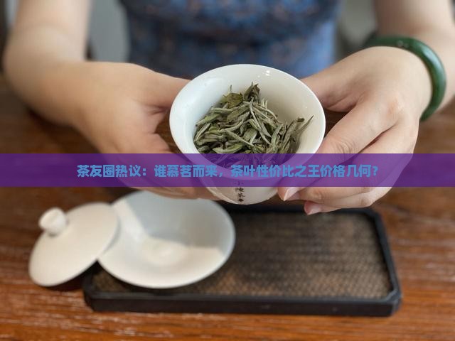 茶友圈热议：谁慕茗而来，茶叶性价比之王价格几何？