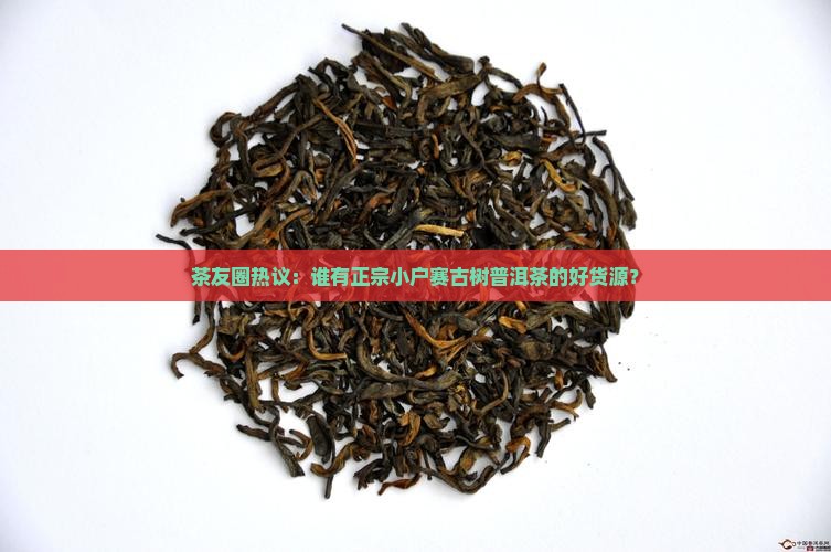 茶友圈热议：谁有正宗小户赛古树普洱茶的好货源？