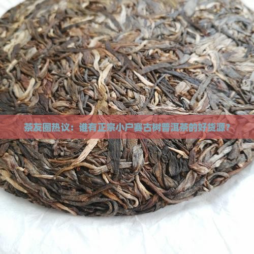 茶友圈热议：谁有正宗小户赛古树普洱茶的好货源？