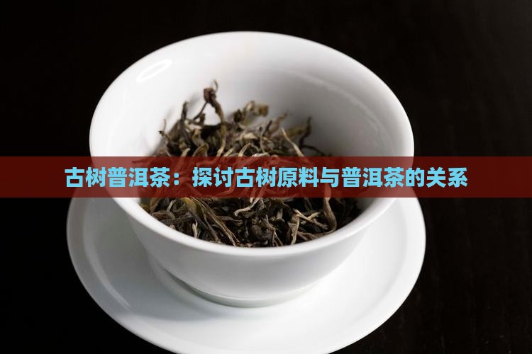 古树普洱茶：探讨古树原料与普洱茶的关系