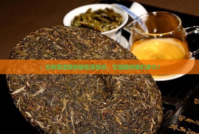 ：古树普洱茶的秘密保鲜术，它能陪伴我们多久？