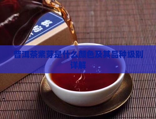 普洱茶紫芽是什么颜色及其品种级别详解