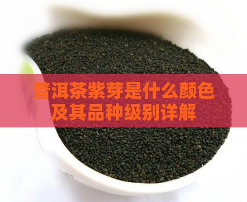 普洱茶紫芽是什么颜色及其品种级别详解