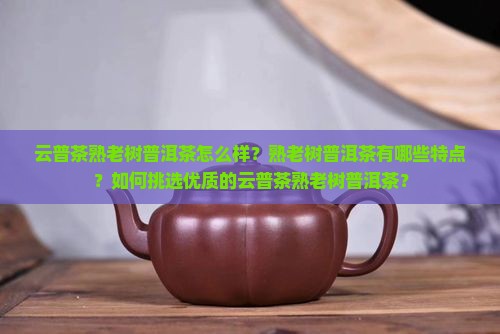 云普茶熟老树普洱茶怎么样？熟老树普洱茶有哪些特点？如何挑选优质的云普茶熟老树普洱茶？