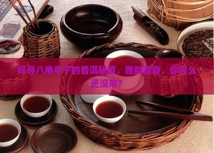 探寻八角亭下的普洱秘境，雅韵藏香，你怎么还没来？