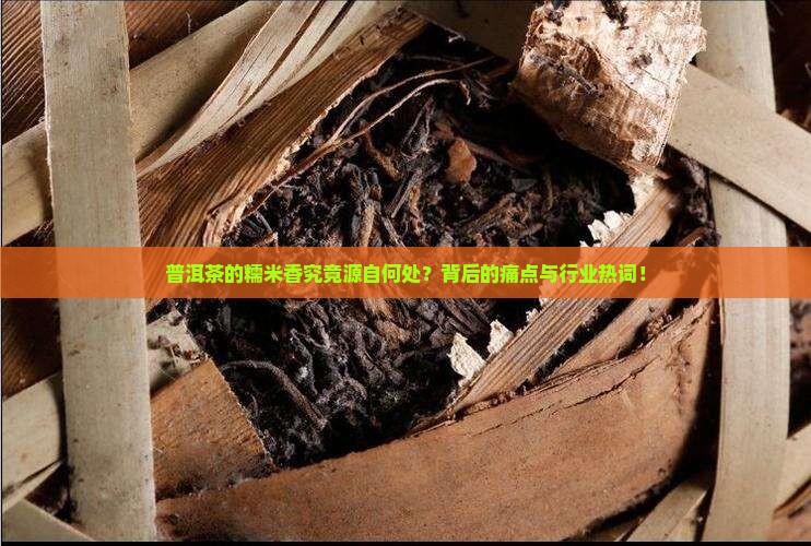 普洱茶的糯米香究竟源自何处？背后的痛点与行业热词！