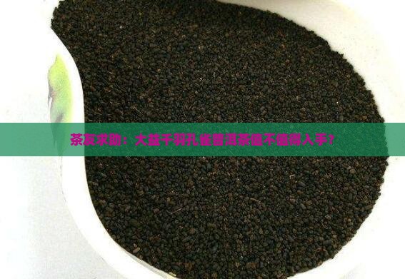 茶友求助：大益千羽孔雀普洱茶值不值得入手？